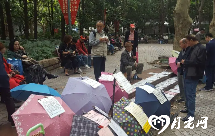 上海人民公園相親角