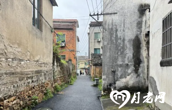 上海婚介 上海婚介